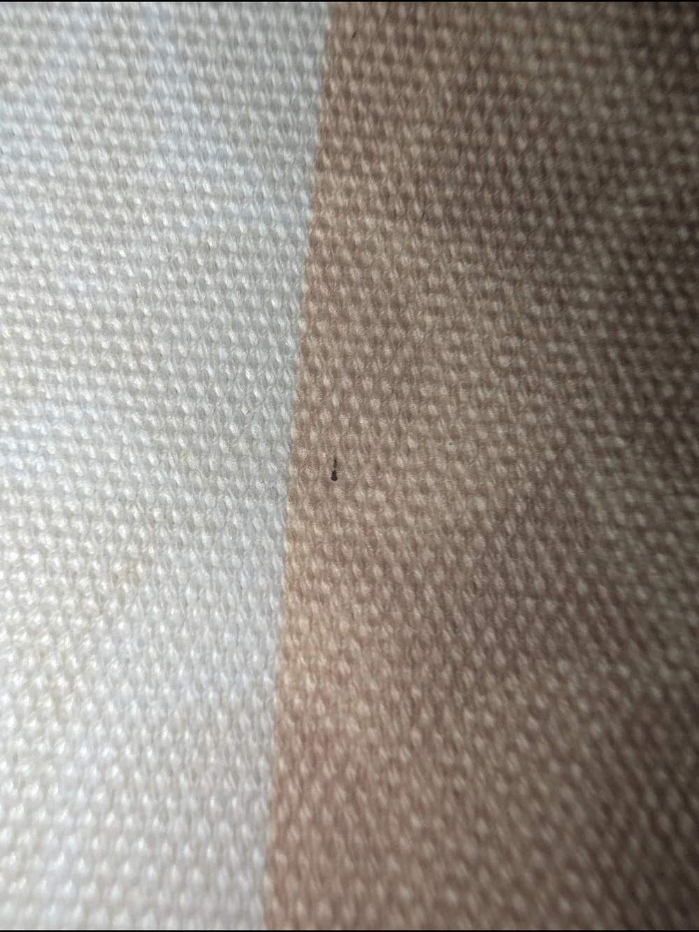 Coach Beige & White Stripe Signature Tote